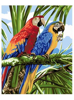 Pintura por Números 50 x 40 cms - Lindo Retrato de Papagayos,hi-res